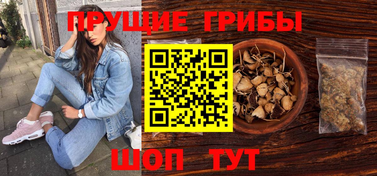 Феодосия  Галлюциногенные грибы Psilocybine cubensis  Вход с VPN 